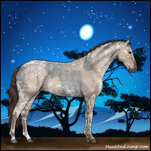 Horse Color:Blue Ice Roan  and Classic Champagne Ice Roan 