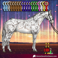 Horse Color:Brown Tobiano Snowflake Varnish 