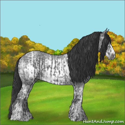 Horse Color:Blue Ice Roan Frame and Blue Ice Roan Frame