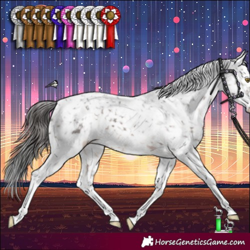Horse Color:Brown Splash Tobiano Snowflake Varnish