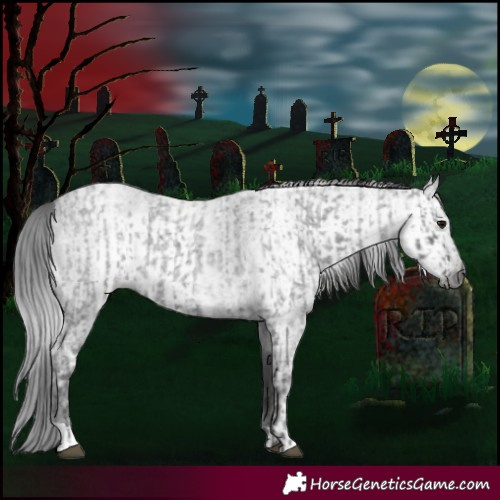 Horse Color:Blue Ice Roan and Gray Blue Ice Roan