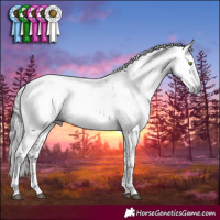 Horse Color:Gray Brown Dun Sabino Brindle 