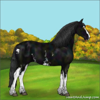 Horse Color:White Spotted Midnight Black Sabino 