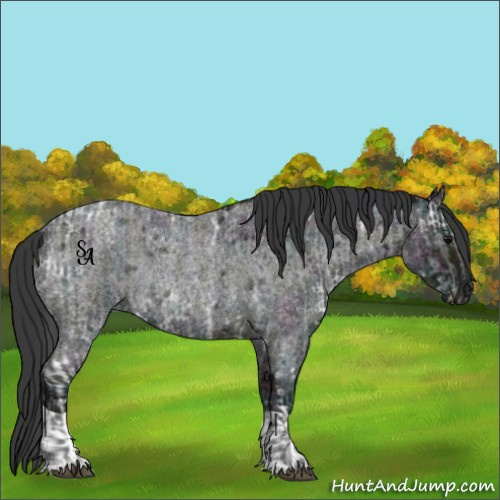 Horse Color:Midnight Blue Ice Roan and Midnight Blue Ice Roan Rabicano