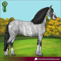 Horse Color:Midnight Blue Roan Sabino 