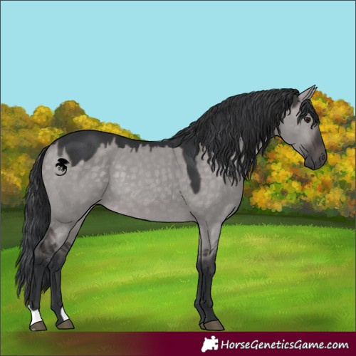 Horse Color:Platinum Brown Dun 