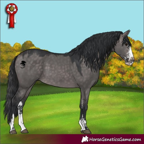 Horse Color:Platinum Brown Dun Sabino 