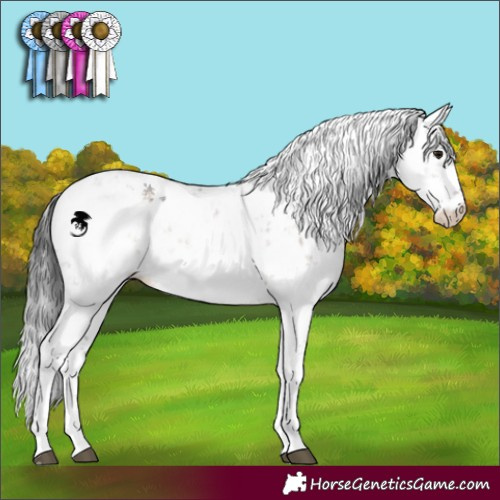 Horse Color:Brown Dun Sabino 