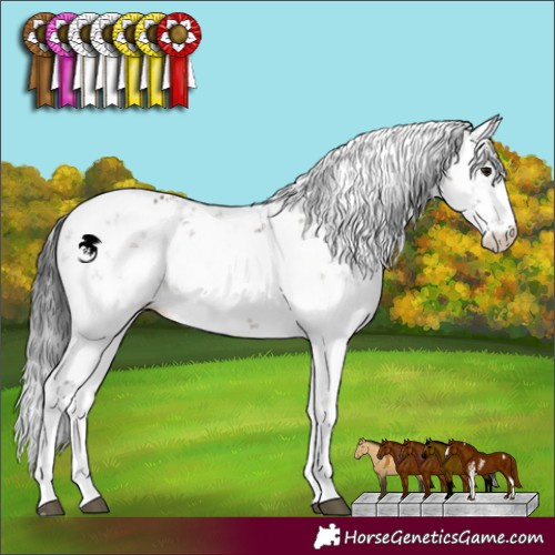 Horse Color:Brown Dun Sabino Brindle 