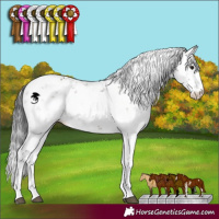 Horse Color:Brown Dun Sabino Brindle 