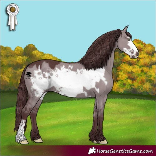 Horse Color:Chocolate Grullo Chinchilla Frame 