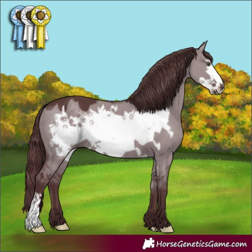 Horse Color:Chocolate Grullo Chinchilla Frame 