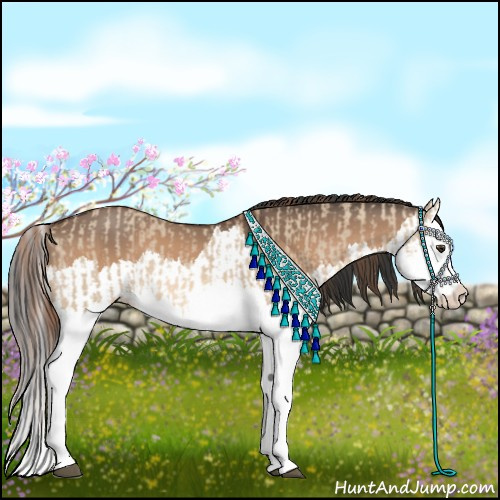 Horse Color:Red Dun Splash and Bay Dun Splash