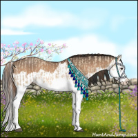 Horse Color:Red Dun Splash and Bay Dun Splash