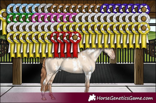Horse Color:White Spotted Gold Champagne Dun 