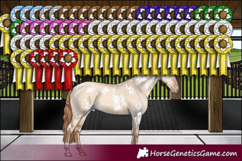Horse Color:White Spotted Gold Champagne Dun 