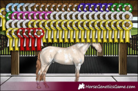 Horse Color:White Spotted Gold Champagne Dun 