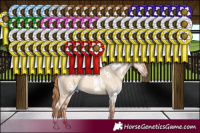 Horse Color:White Spotted Gold Champagne Dun