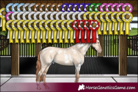 Horse Color:White Spotted Gold Champagne Dun