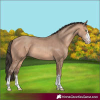 Horse Color:Amber Champagne 