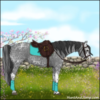 Horse Color:Blue Ice Roan and Blue Ice Roan Splash
