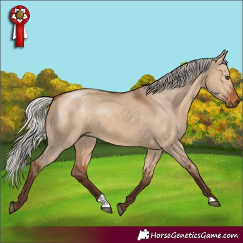 Horse Color:Silver Brown Dun 