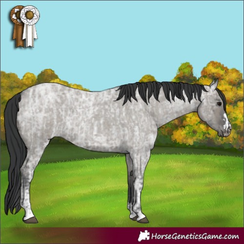 Horse Color:Blue Ice Roan  and Grullo Ice Roan 