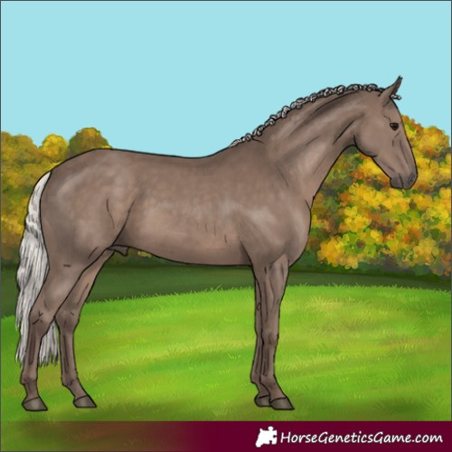 Horse Color:Silver Black Mushroom 