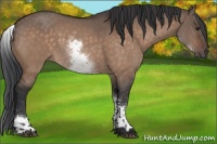 Horse Color:White Spotted Brown Dun Mushroom 