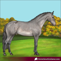 Horse Color:Brown Dun Mushroom Varnish 