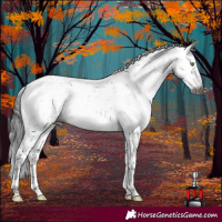 Horse Color:Gray Brown Dun Mushroom Sabino 