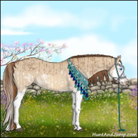 Horse Color:Red Dun Splash and Red Dun Splash