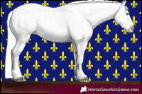 Horse Color:Silver Amber Champagne Roan Dun Splash Tobiano Frame Appaloosa Rabicano 