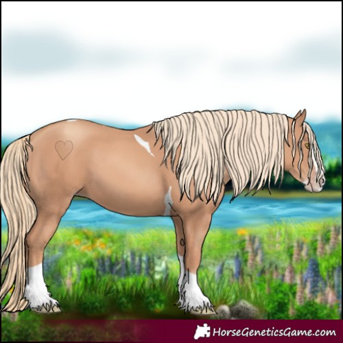 Horse Color:Gold Champagne Splash Tobiano 