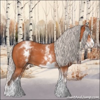 Horse Color:White Spotted Silver Bay Splash 