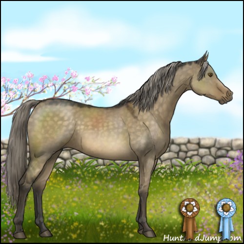 Horse Color:Chocolate Palomino Dun Mushroom Sabino Rabicano 