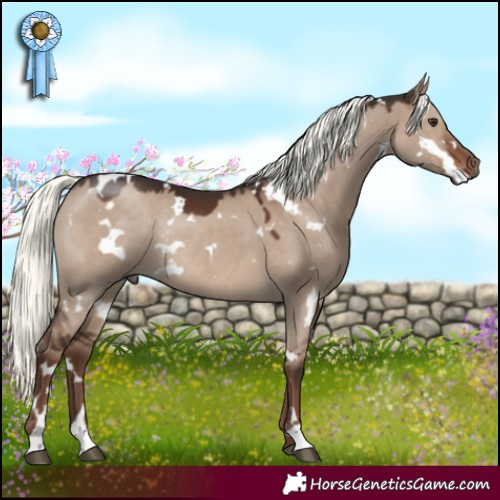 Horse Color:White Spotted Liver Red Dun Mushroom Rabicano 