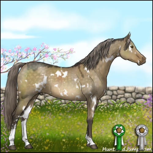 Horse Color:White Spotted Chocolate Palomino Dun Mushroom Sabino Rabicano 