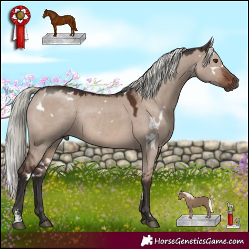 Horse Color:White Spotted Liver Red Dun Mushroom Sabino Rabicano