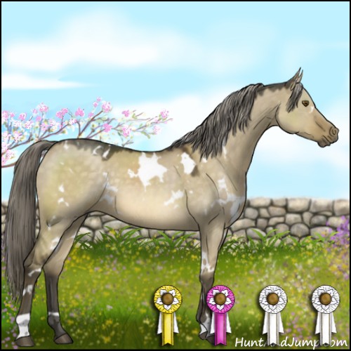 Horse Color:White Spotted Chocolate Palomino Dun Mushroom Rabicano 