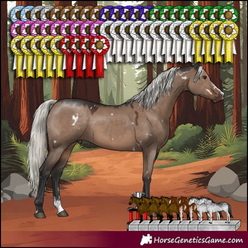 Horse Color:White Spotted Liver Red Dun Mushroom Sabino Rabicano