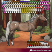 Horse Color:White Spotted Liver Red Dun Mushroom Sabino Rabicano 