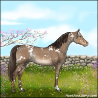 Horse Color:White Spotted Liver Red Dun Appaloosa Rabicano 