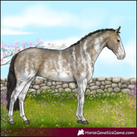 Horse Color:White Spotted Buckskin Dun 