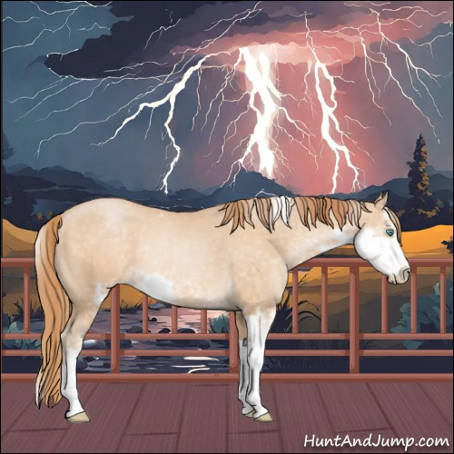 Horse Color:Buckskin Pearl Sabino Rabicano 