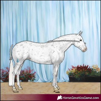 Horse Color:White Spotted Silver Brown Snowflake Varnish 
