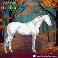 Horse Color:Brown Mushroom Sabino