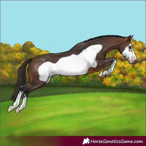 Horse Color:Brown Frame 