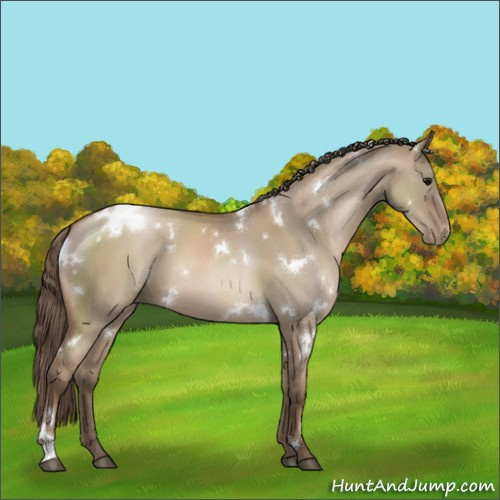 Horse Color:White Spotted Grullo Pearl 