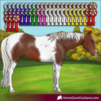 Horse Color:Silver Bay Tobiano